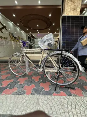 Neelam Assorted Traditional Black Mamba Bicycle