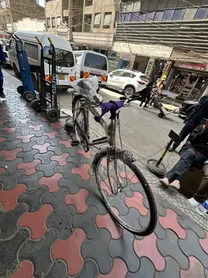 Neelam Assorted Traditional Black Mamba Bicycle