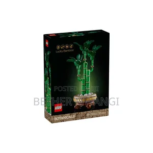Lego LUCKY BAMBOO in Kenya