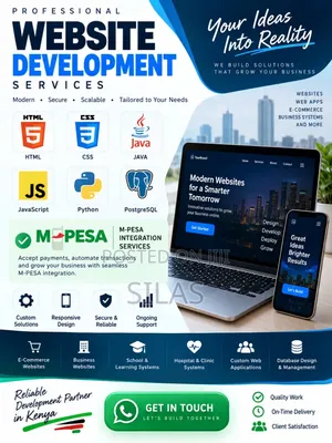 Professional Business Websites, E-Commerce Custom Web Systems