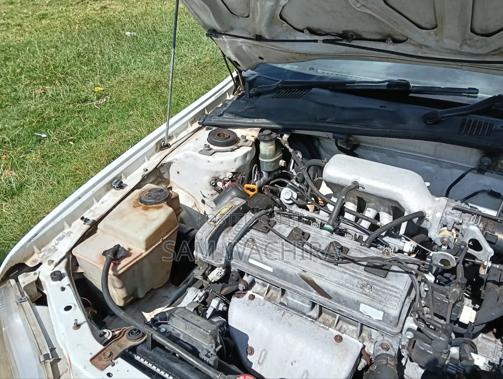 Toyota Carina 1998 White