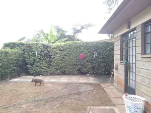 4bdrm Townhouse/Terrace in Thika CBD for sale