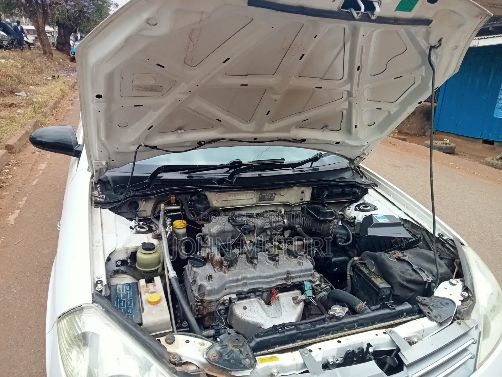 Nissan Wingroad 2006 White