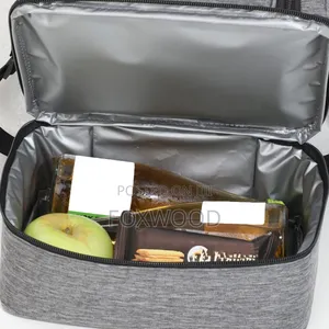 Double Compartment Insulated Lunch Bag