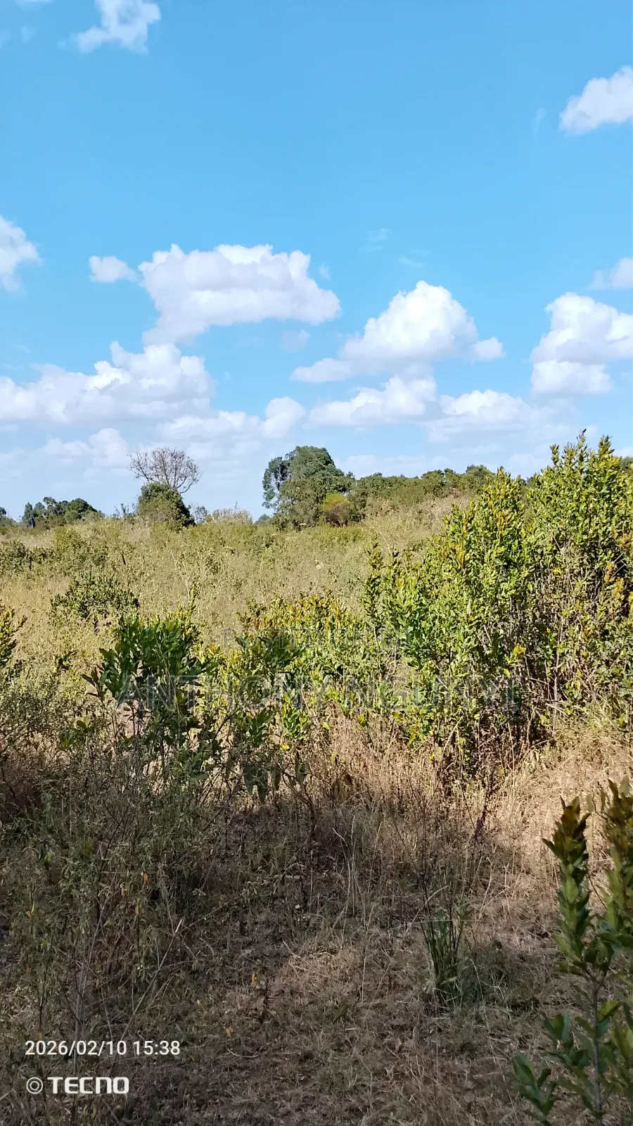 Land for Sale