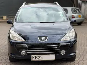 Peugeot 307 2007 Blue