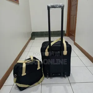 2-Piece Rolling Travel Bag Set