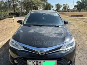 Toyota Axio 2016 Black