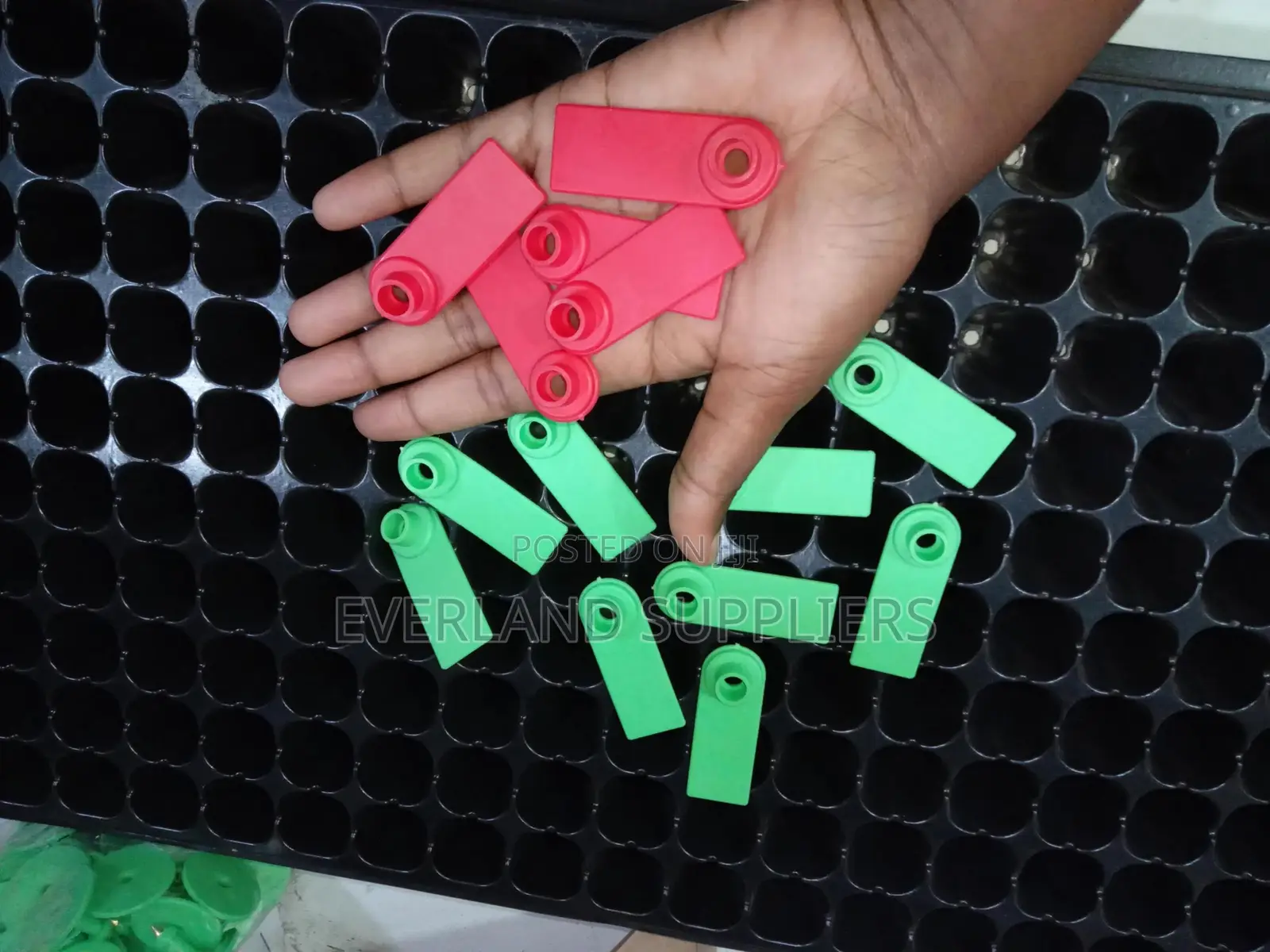 Ear Tags - Animal Group ID Tags