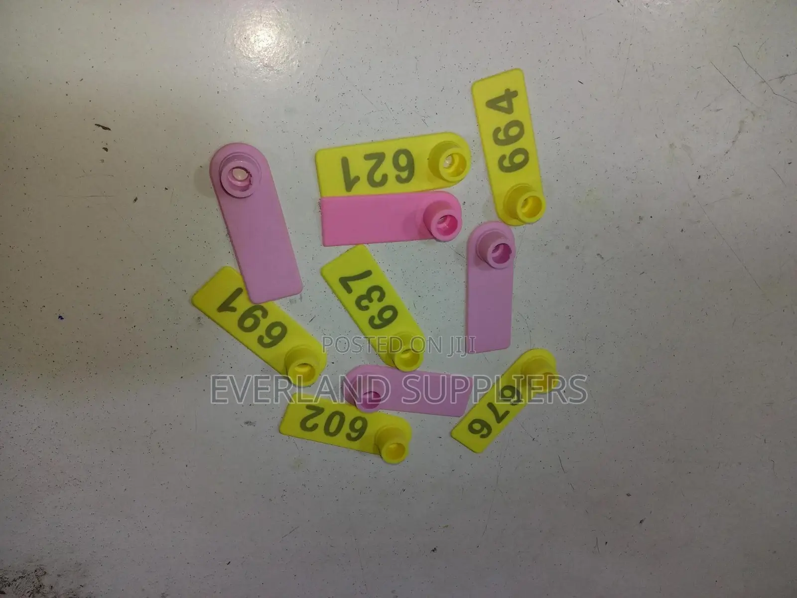 Ear Tags - Custom Slim