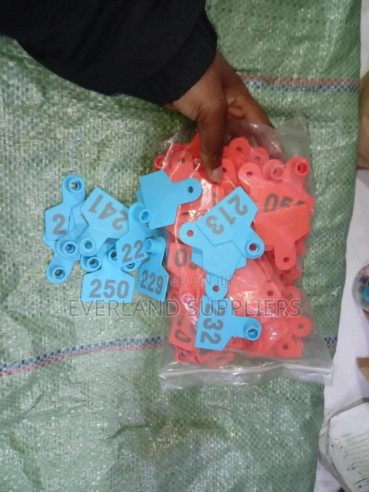 Ear Tags - From Lamb to Breeder a Set