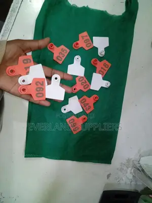 Ear Tags - Clear Functional a Pack