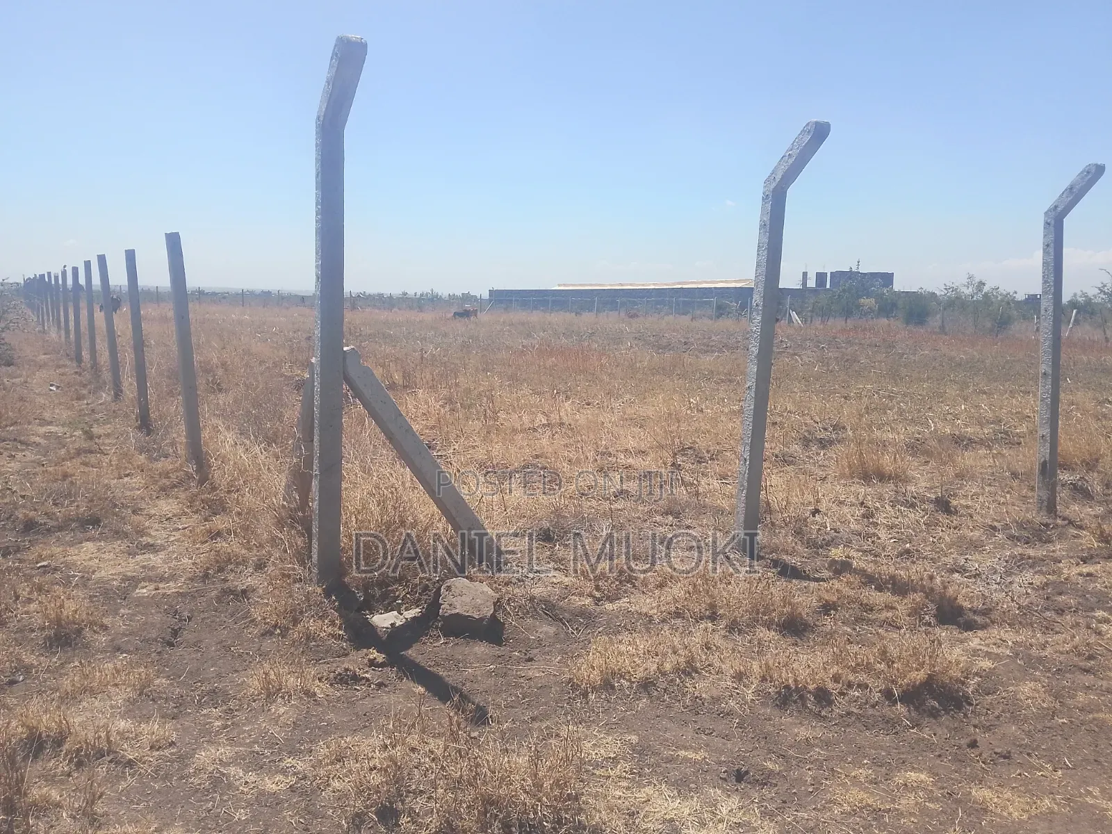 Land on Sale