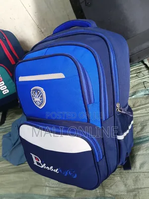 Multi Compartment School Backpack