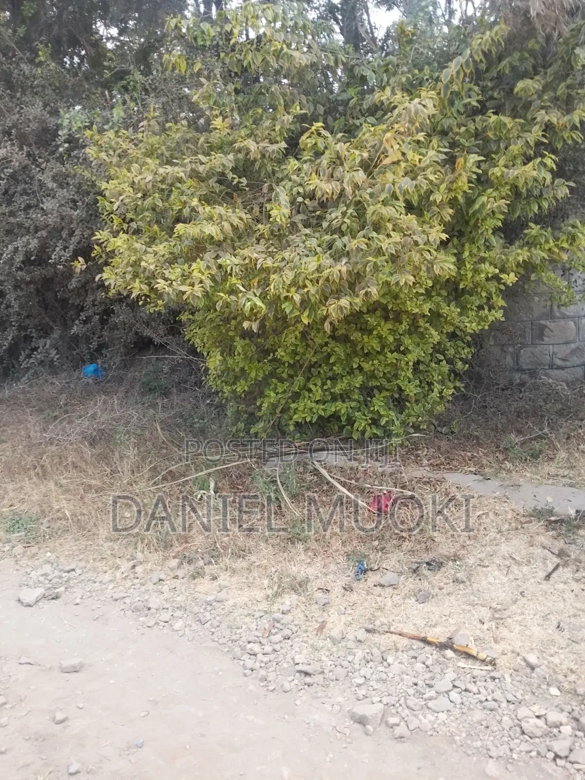 4bdrm Bungalow in Maji Ya 2, Ruai for rent