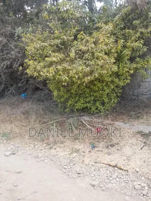 4bdrm Bungalow in Maji Ya 2, Ruai for rent