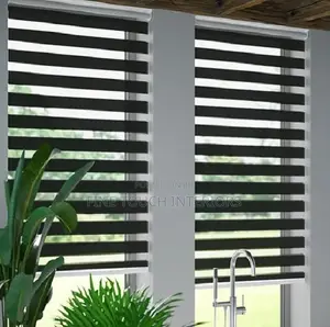 Elegant Sheer Roller Blinds for Windows