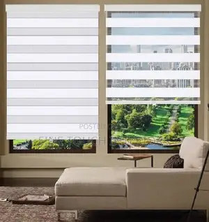 Modern Sheer Roller Window Blinds