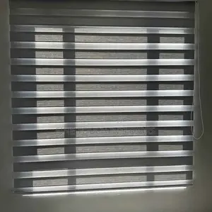 Sheer Roller Window Blinds for Home and Office