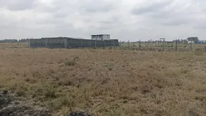Affordable 50×100 Kitengela Plots