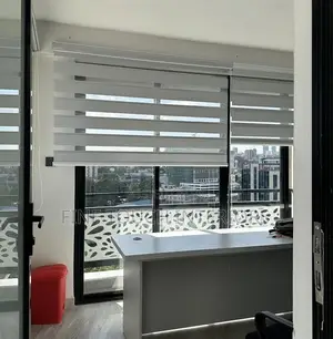 Sheer Roller Blinds – Modern Window Shades for Homes