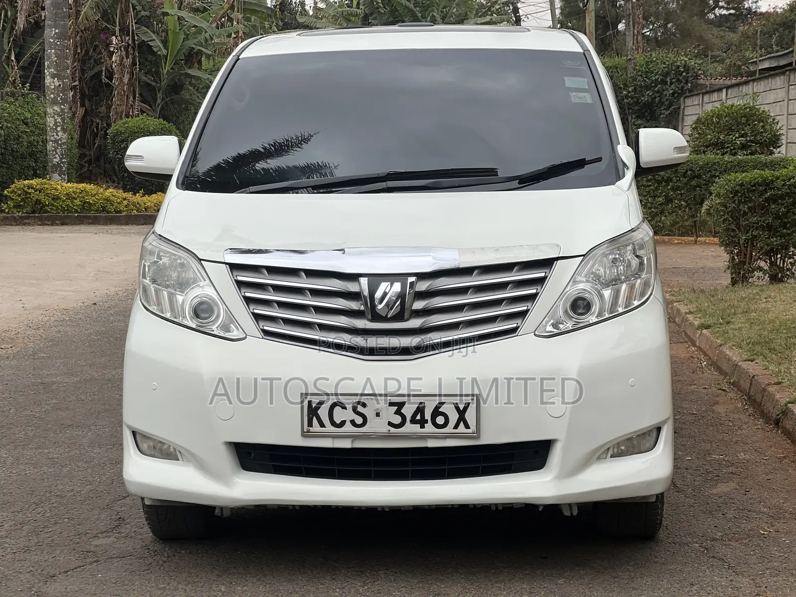 Toyota Alphard 2011 Pearl