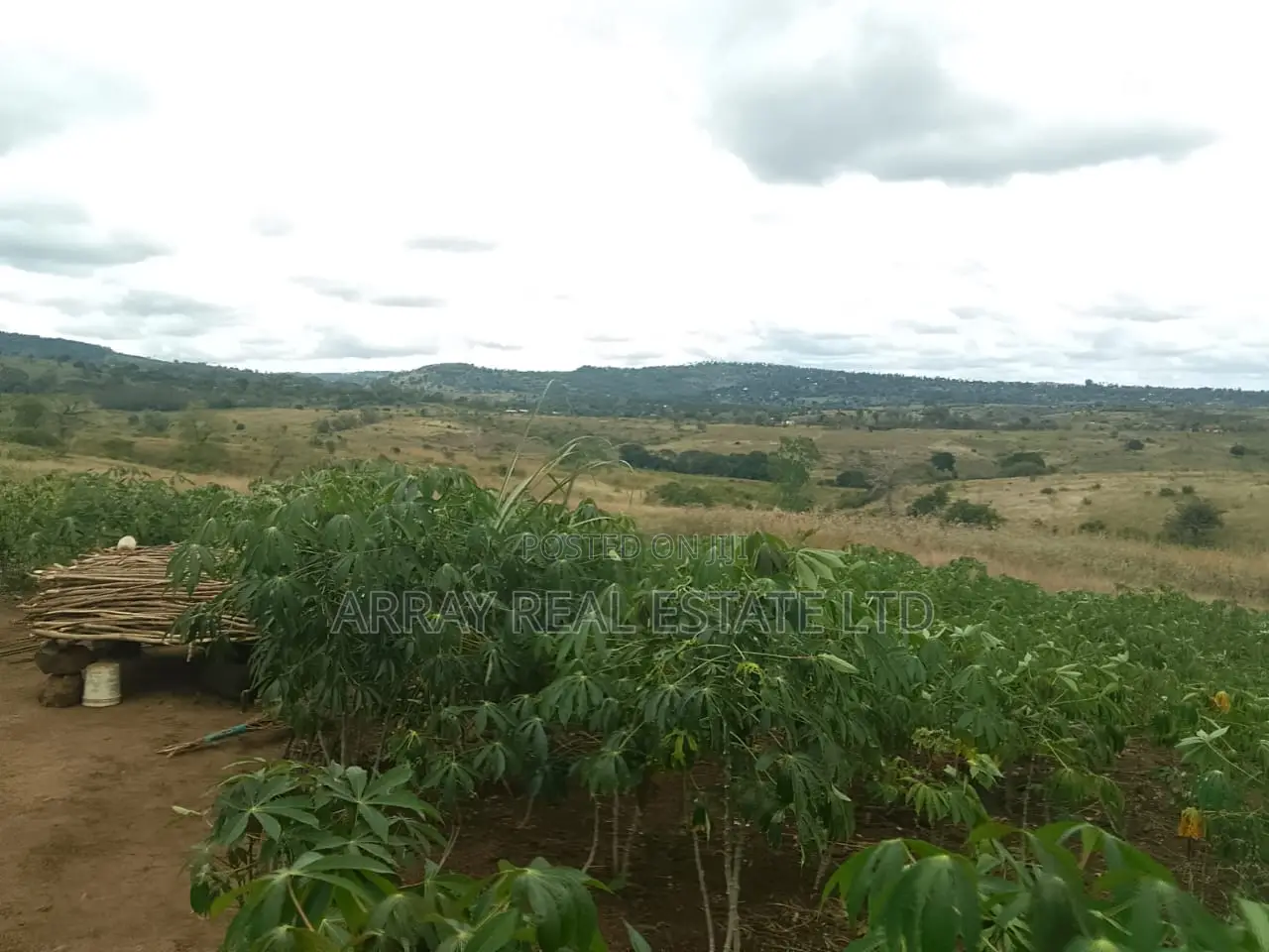 2.5 Acres Galu Kinondo 50M Per Acre