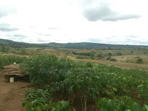 2.5 Acres Galu Kinondo 50M Per Acre
