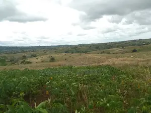 2.5 Acres Galu Kinondo 50M Per Acre