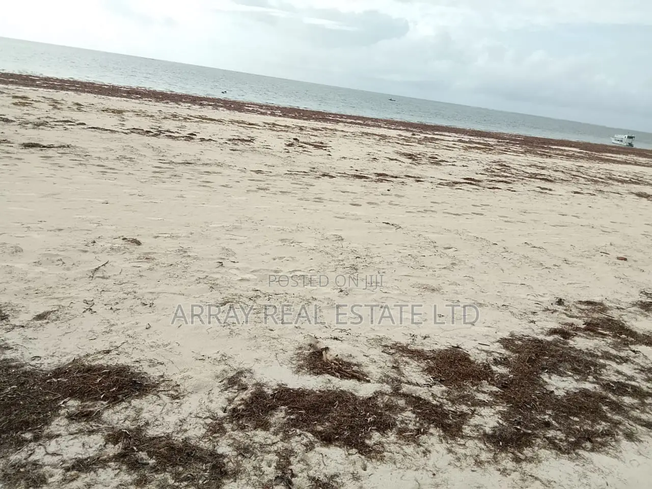 2.5 Acres Galu Kinondo 50M Per Acre