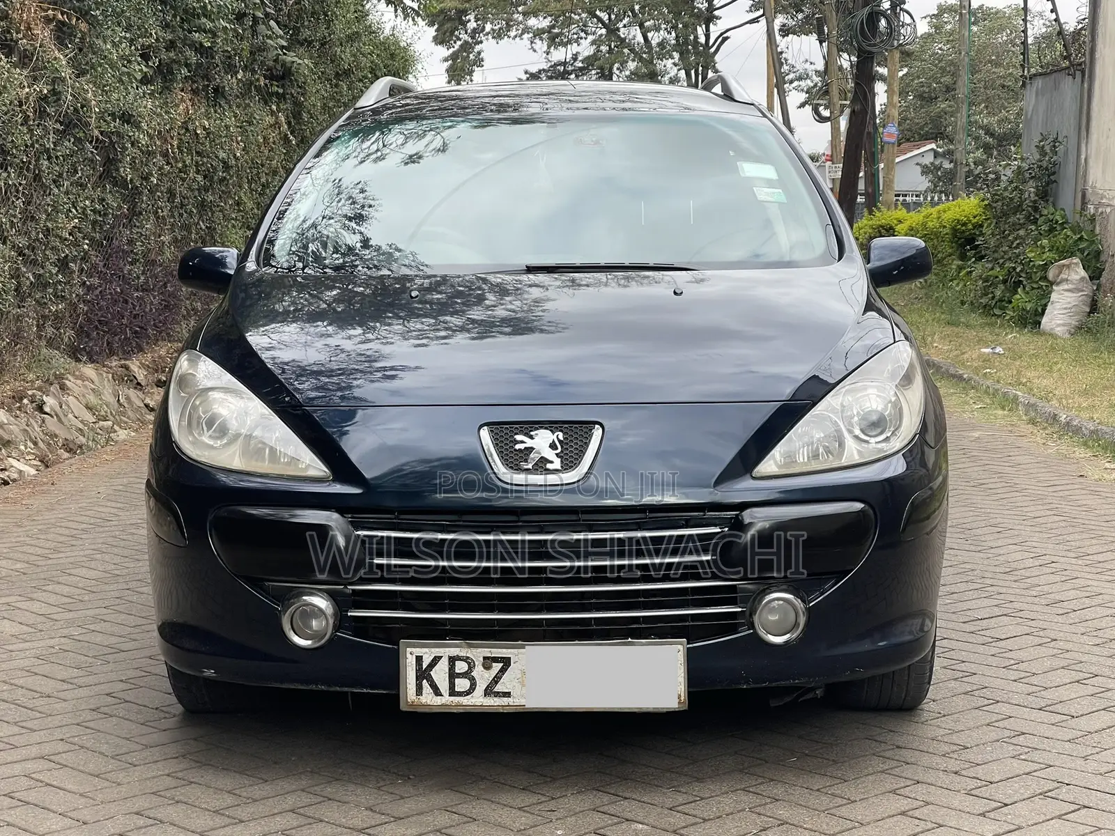 Peugeot 307 2007 Blue