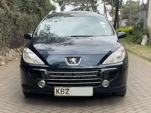 Peugeot 307 2007 Blue