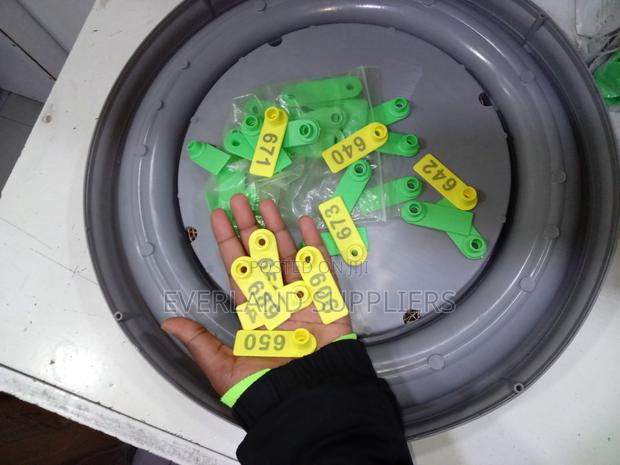 Ear Tags - Vibrant Colors