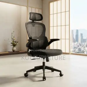 Office Chairs; Ergonomic Modern Orthopedic Office Fabricated Chairs