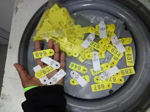 Ear Tags - Tear Proof