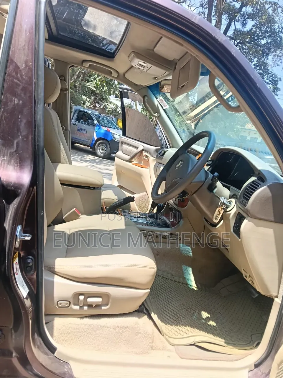 Toyota Land Cruiser 2007 Brown