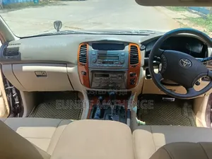 Toyota Land Cruiser 2007 Brown