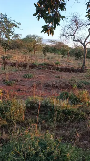 100 Acre Sultan Hamud Hills Ranch for Sale