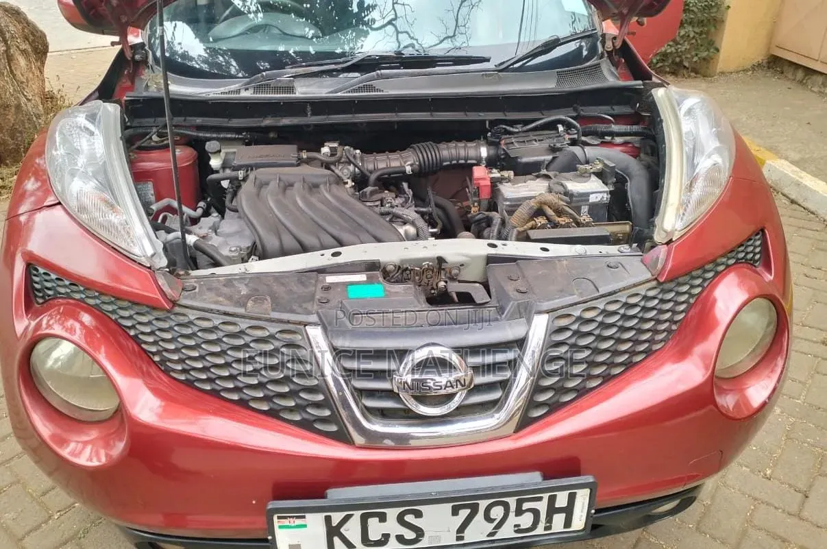 Nissan Juke 2011 Red