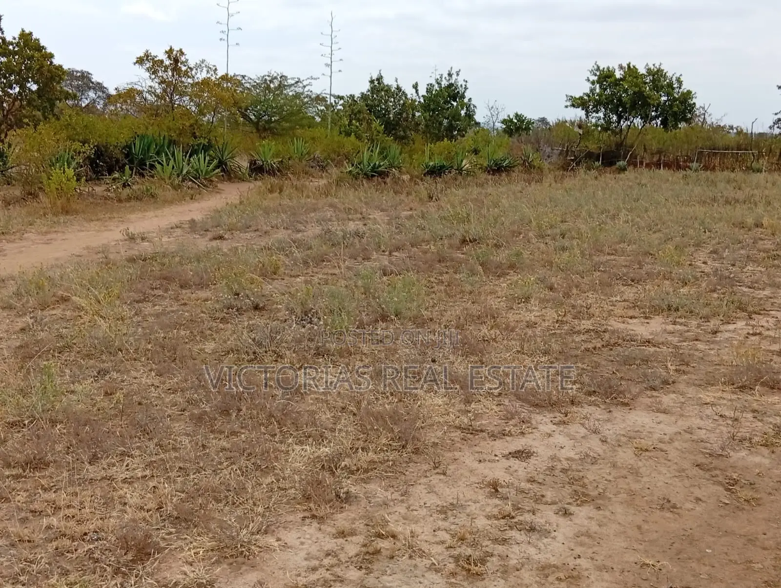 Land for Sale Located in Vondeni Kivaa Machakos at KSH 350,000/=