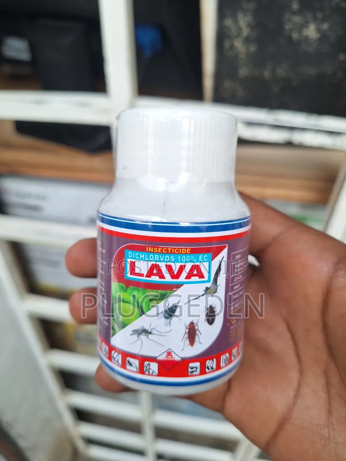 Lava Insecticide for Bedbugs and Cockroaches Fumigation