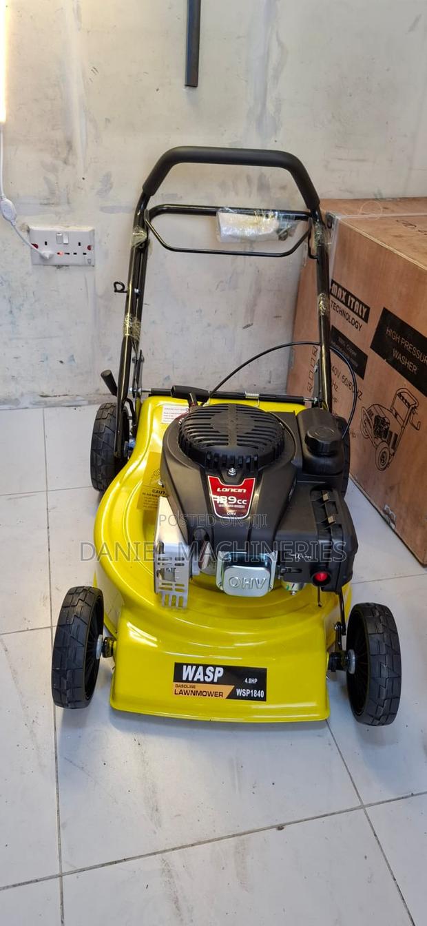 Wasp Lawn Mower Losing Engine 139cc - main view