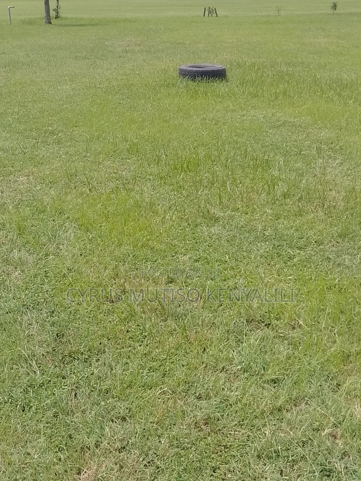 Landscaping Services