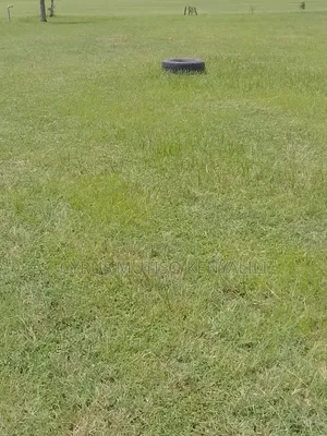 Landscaping Services