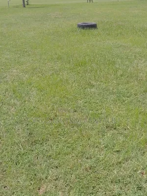Landscaping Services