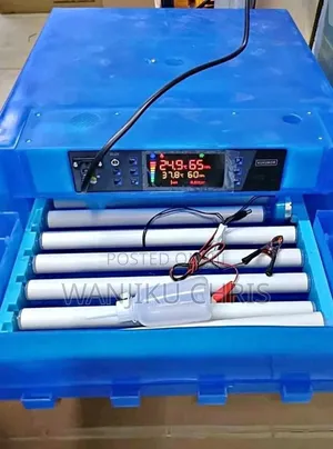 Automatic Eggs Incubator/64eggs Capacity