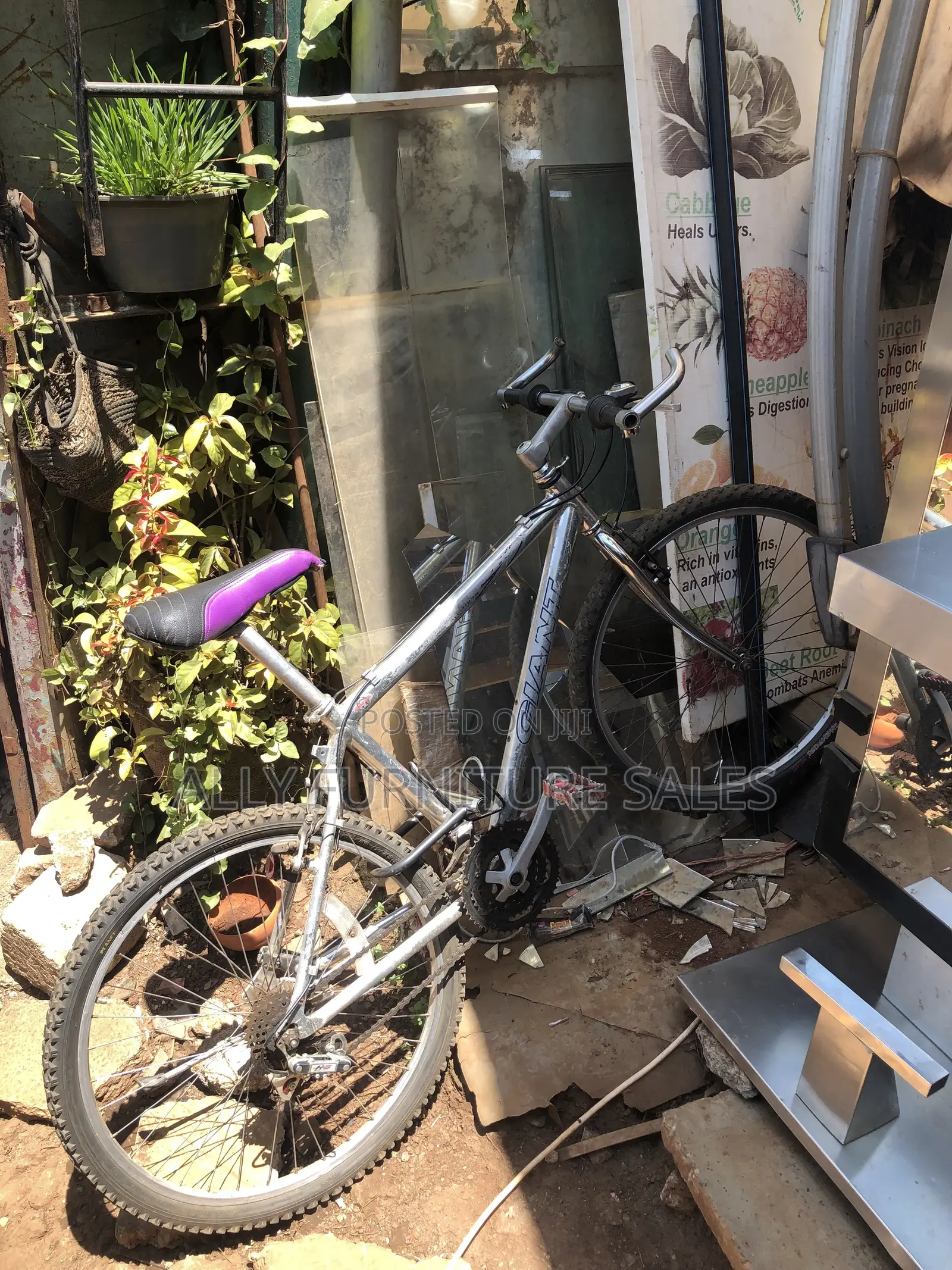 Alloy Frame Mountain Bike