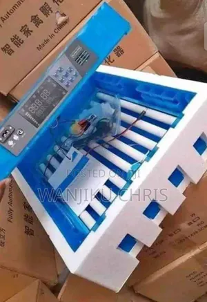 AC/Dc Automatic Eggs Incubator 64eggs