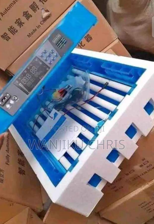 AC/Dc Automatic Eggs Incubator 64eggs