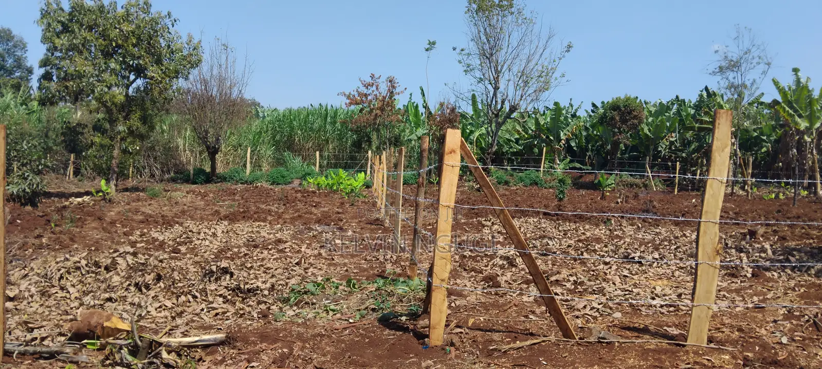 50x100 Plots for Sale Near Ichaweri. Ready Title Deeds